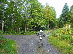 ���샋�x�V�ѓ�1�^ORR