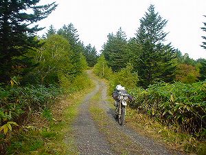 ���샋�x�V�ѓ�3�^ORR