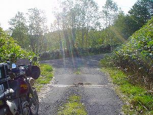 ���샋�x�V�ѓ�4�^ORR