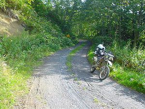 ���샋�x�V�ѓ�5�^ORR