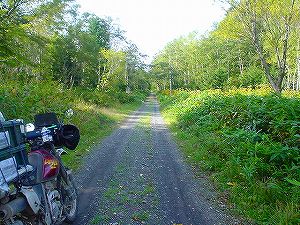 ���샋�x�V�ѓ�6�^ORR