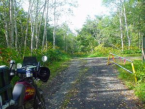 ���샋�x�V�ѓ�7�^ORR