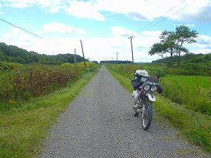 ��y���ѓ�3�^ORR