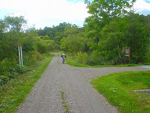 ��y���ѓ�4�^ORR