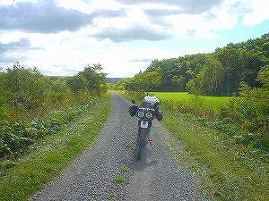 ��y���ѓ�5�^ORR