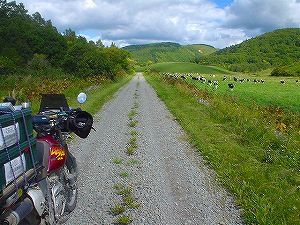 ��y���ѓ�6�^ORR