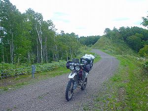 ��y���ѓ�3�^ORR