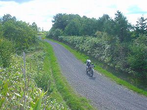 ��y���ѓ�5�^ORR