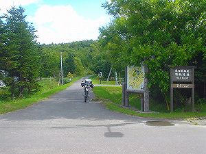 ��y���ѓ�7�^ORR