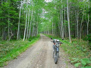 �t���x�c�����ѓ�2�^ORR