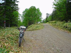 �t���x�c�����ѓ�4�^ORR