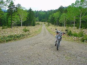 �t���x�c�����ѓ�5�^ORR