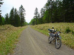 �t���x�c�����ѓ�6�^ORR