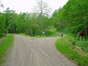 �t���x�c�����ѓ�7�^ORR