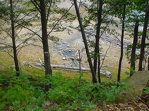 �f���O�җѓ��A7�^ORR