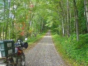 �f���O�җѓ��B3�^ORR