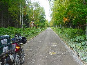 �f���O�җѓ��B5�^ORR