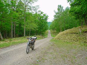 �㑫��ѓ�3�^ORR