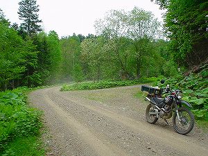 �㑫��ѓ�4�^ORR