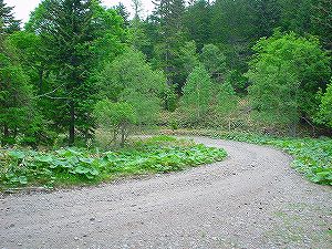 �㑫��ѓ�5�^ORR