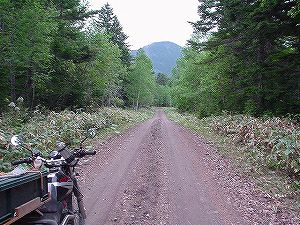 �㑫��ѓ�6�^ORR