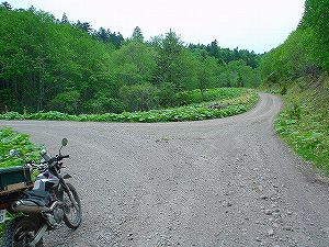 �㑫��ѓ�7�^ORR