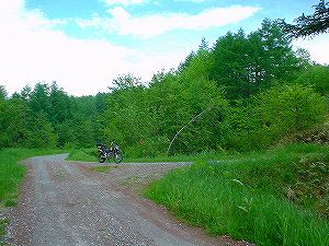 �����ѓ�2�^ORR