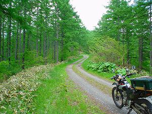 �����ѓ�3�^ORR