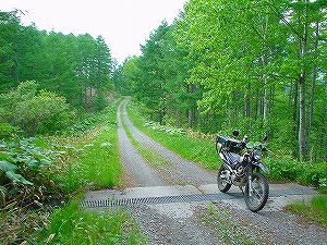 �����ѓ�4�^ORR