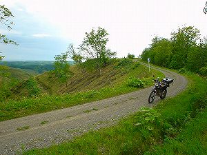 �����ѓ�5�^ORR