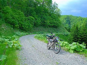 �����ѓ�6�^ORR