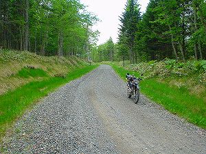 �Ó��ѓ�2�^ORR