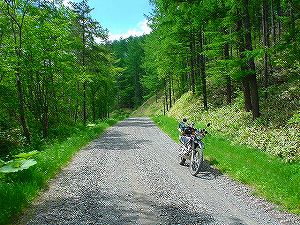 �Ó��ѓ�4�^ORR