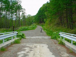 �Ó��ѓ�5�^ORR