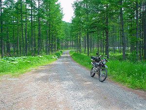 �Ó��ѓ�6�^ORR