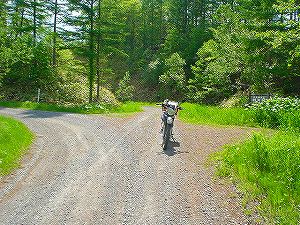 �Ó��ѓ�7�^ORR