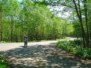 �����R�ʕ�z��1�^ORR