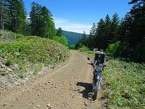 �����R�ʕ�z��2�^ORR