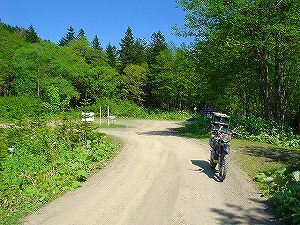 �����R�ʕ�z��6�^ORR