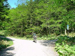 �����R�ʕ�z��7�^ORR