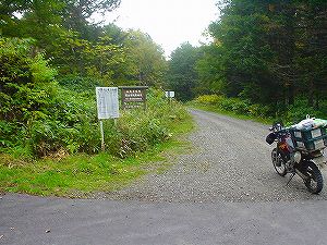 ���R�Ĕїѓ��i���쓻�j1�^ORR