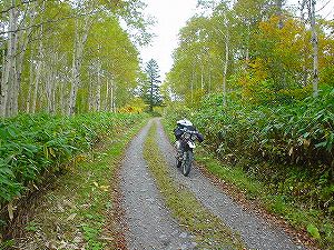 ���R�Ĕїѓ��i���쓻�j5�^ORR