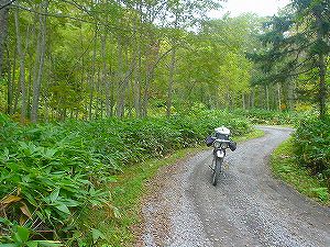 ���R�Ĕїѓ��i���쓻�j6�^ORR