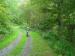 �{�p�ѓ�4�^ORR