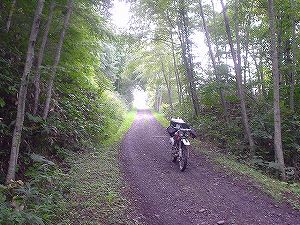 �{�p�ѓ�6�^ORR