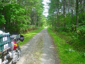 �����ѓ�6�^ORR