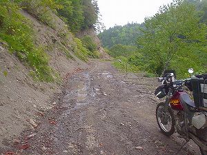 �J���ѓ�5�^ORR