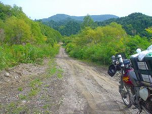 ��t�ʗѓ��i�j�򓻁j5�^ORR