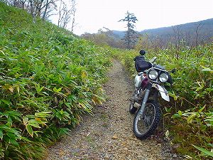 ������ѓ�2�^ORR