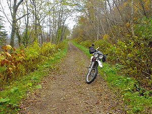 ������ѓ�5�^ORR